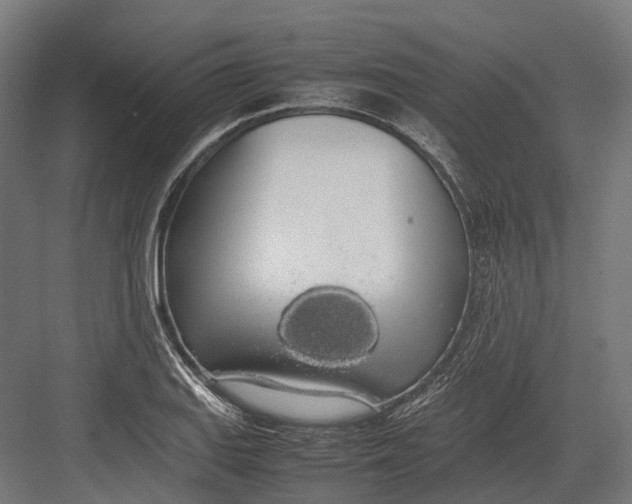 X0000082691127200702161717