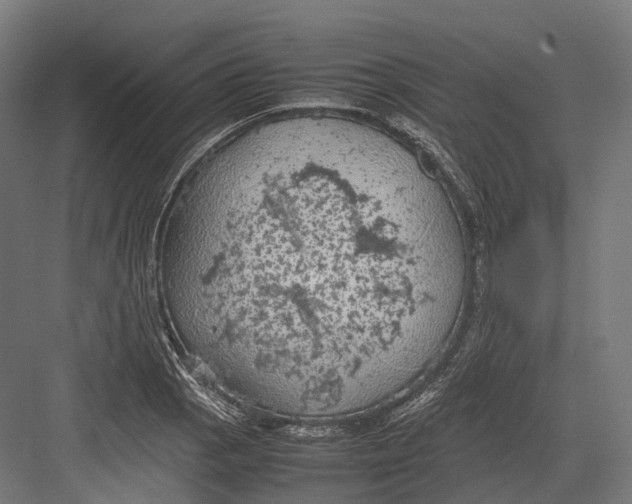 X0000082691129200702161717