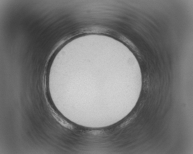 X0000082691130200702161717