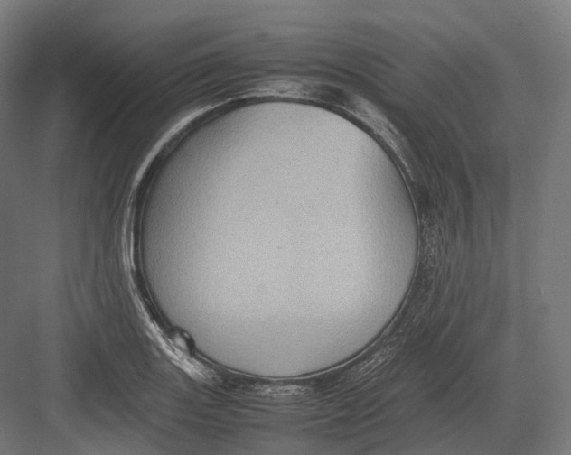 X0000082691131200702161717