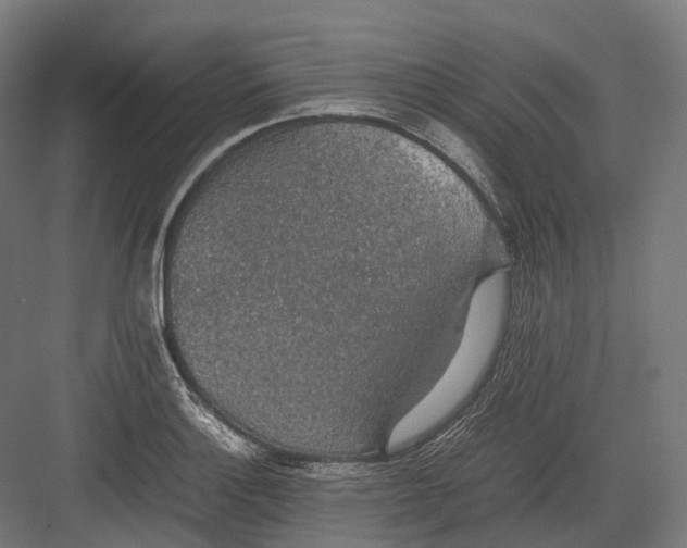 X0000082691132200702161717