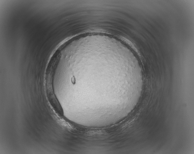 X0000082691133200702161717