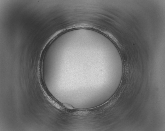 X0000082691134200702161717