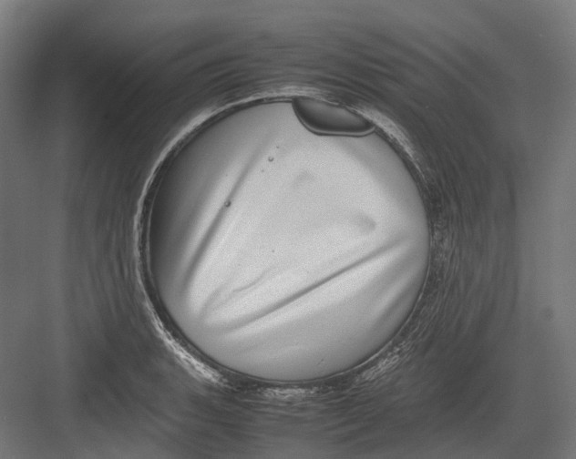 X0000082691135200702161717