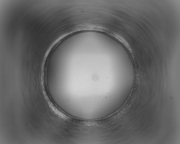 X0000082691136200702161717