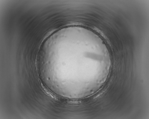 X0000082691137200702161717