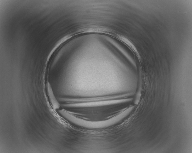 X0000082691138200702161717