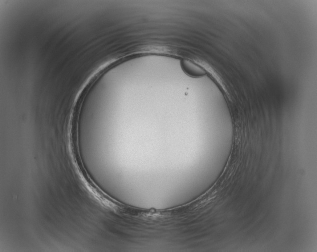 X0000082691139200702161717