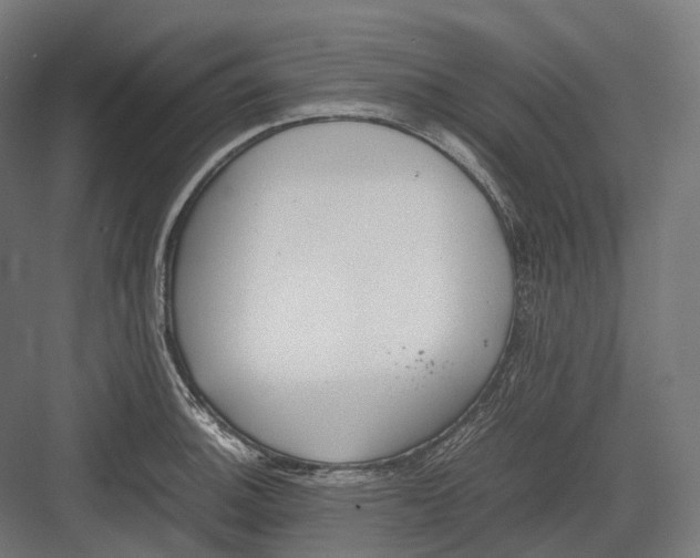 X0000082691140200702161717