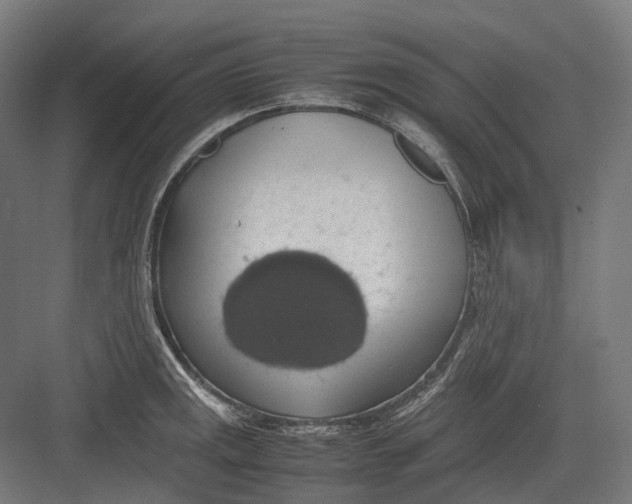 X0000082691141200702161717