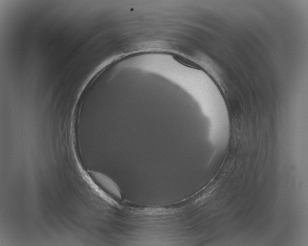 X0000082691142200702161717