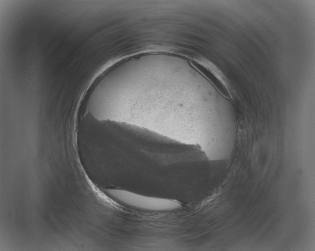 X0000082691143200702161717