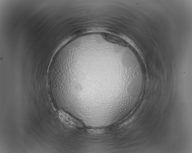 X0000082691145200702161717