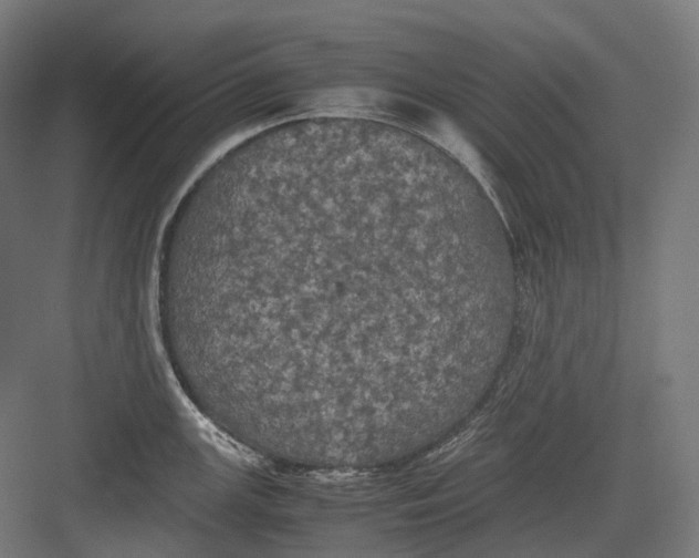 X0000082691147200702161717