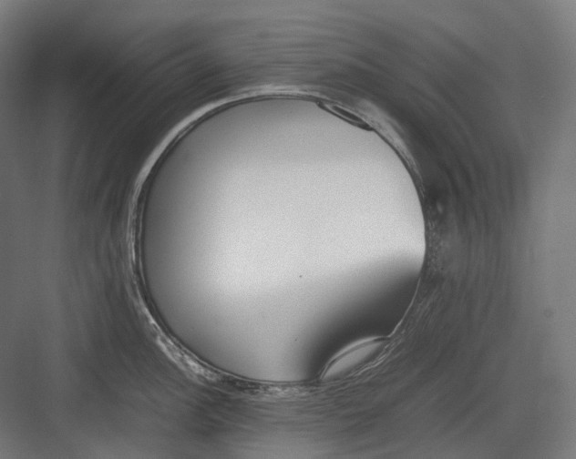 X0000082691148200702161717