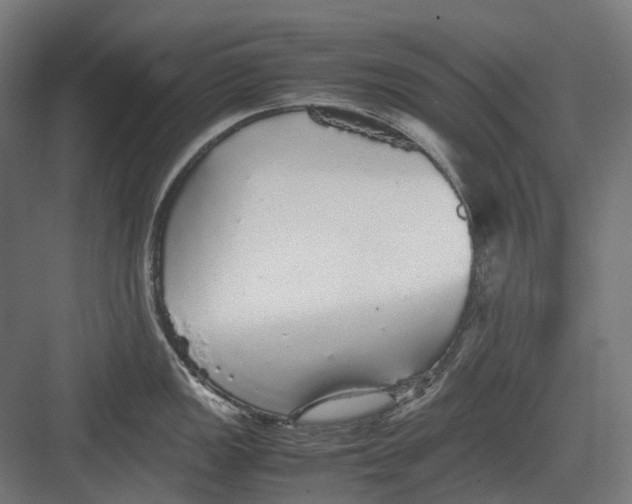 X0000082691149200702161717