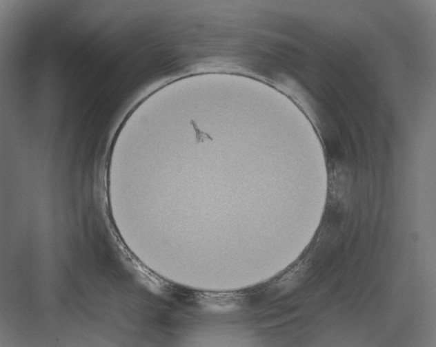 X0000082691150200702161717