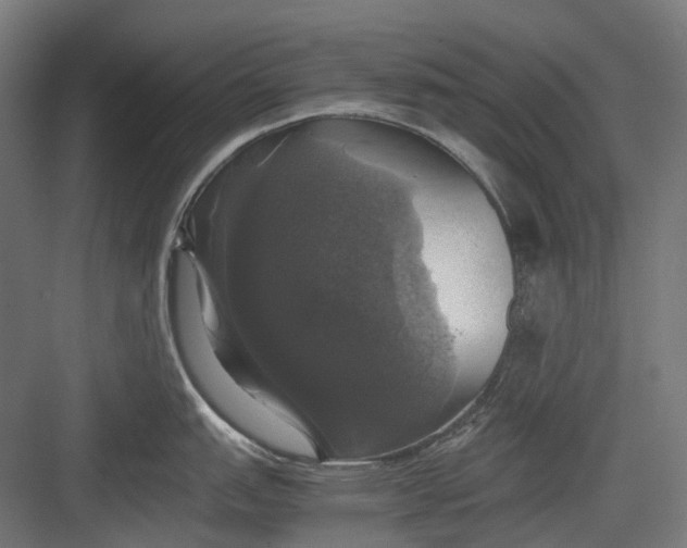 X0000082691151200702161717