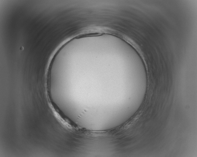 X0000082691152200702161717