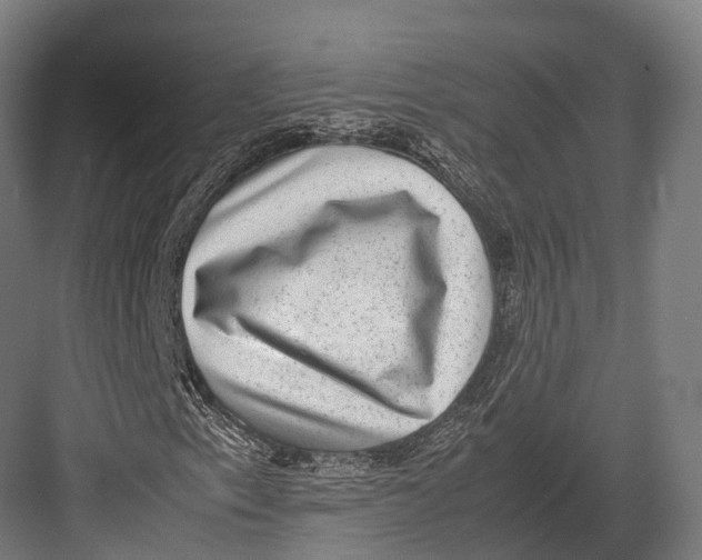 X0000082691153200702161717