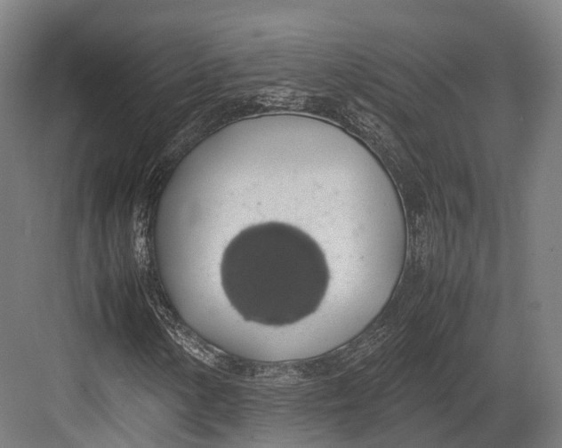 X0000082691154200702161717