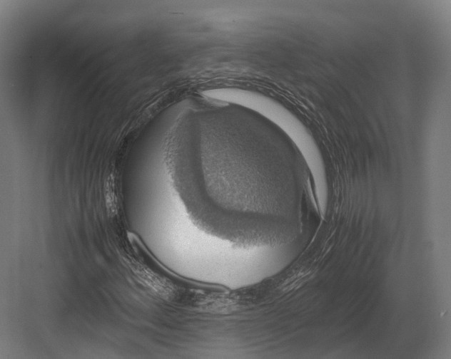 X0000082691156200702161717