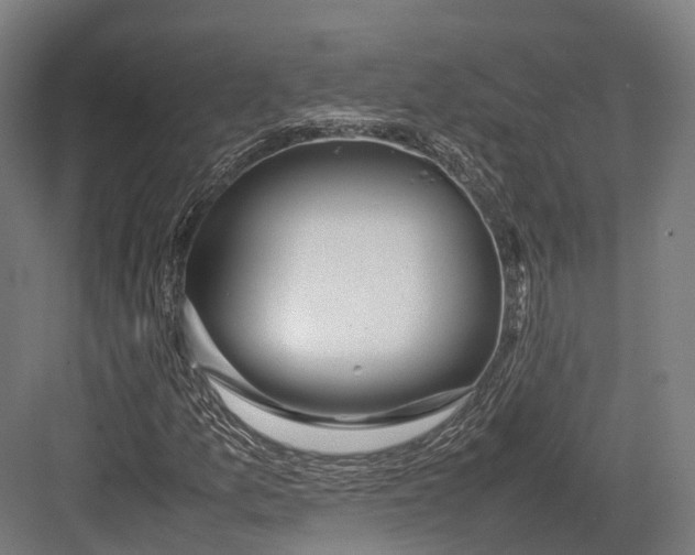 X0000082691157200702161717