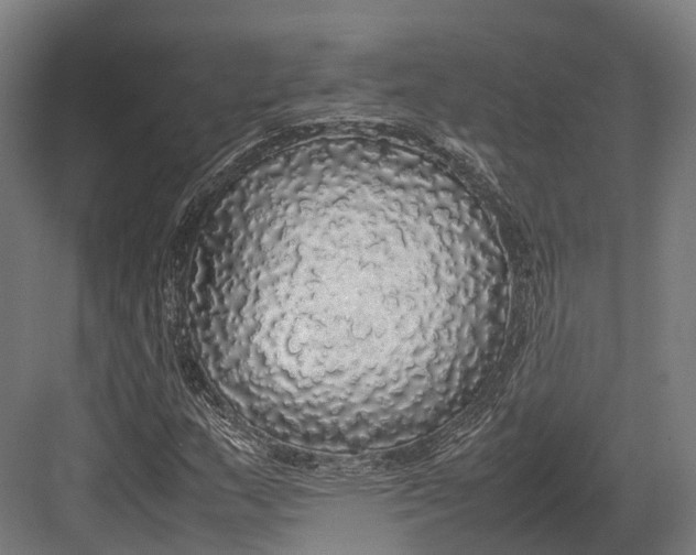 X0000082691159200702161716