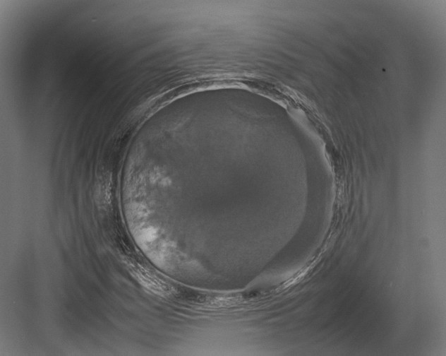 X0000082691161200702161716