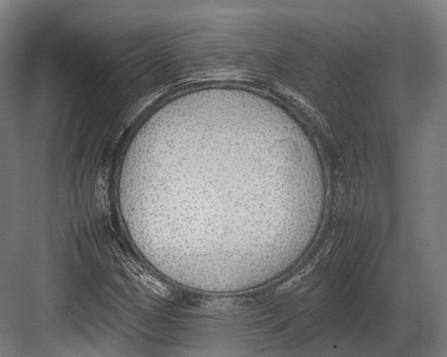 X0000082691162200702161716