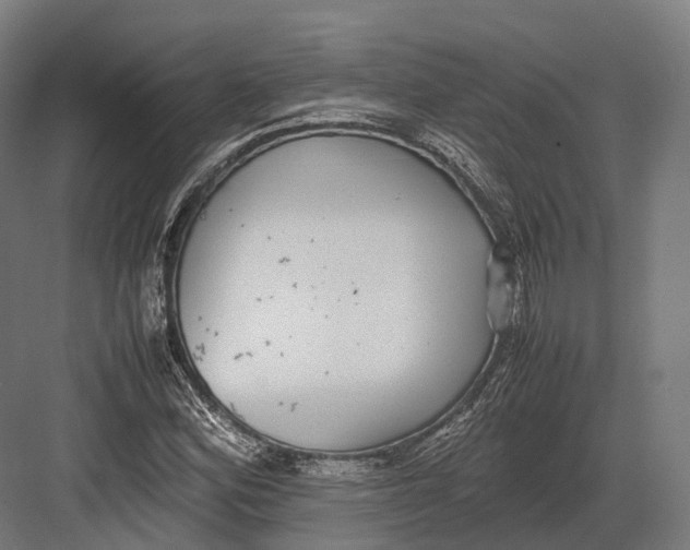 X0000082691164200702161716