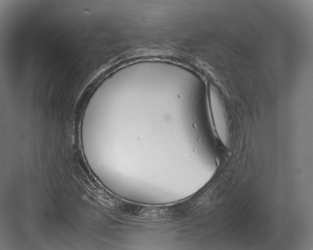 X0000082691165200702161716