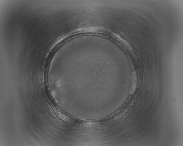 X0000082691166200702161716