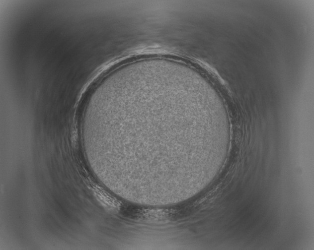 X0000082691167200702161716