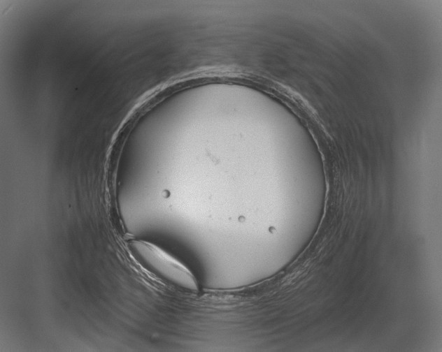 X0000082691168200702161716