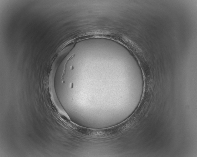 X0000082691169200702161716