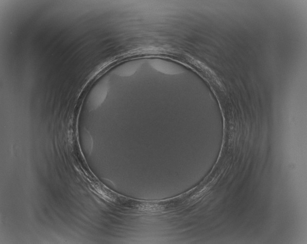 X0000082691170200702161716