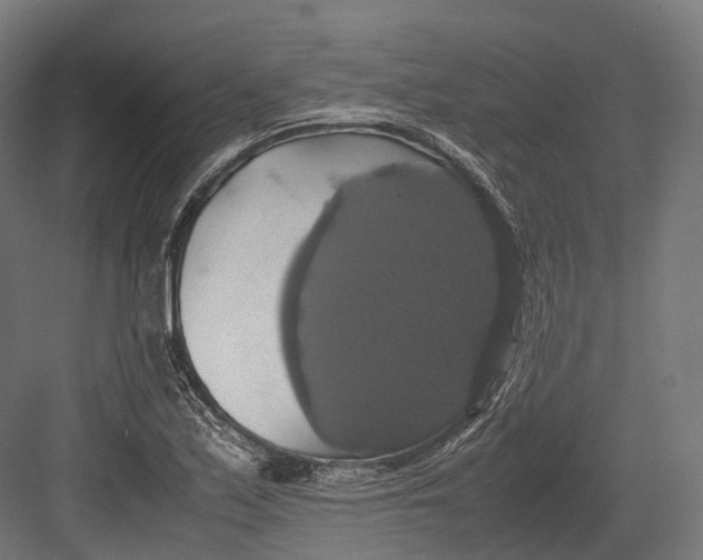 X0000082691171200702161716