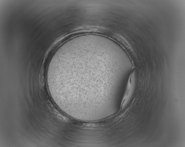 X0000082691172200702161716