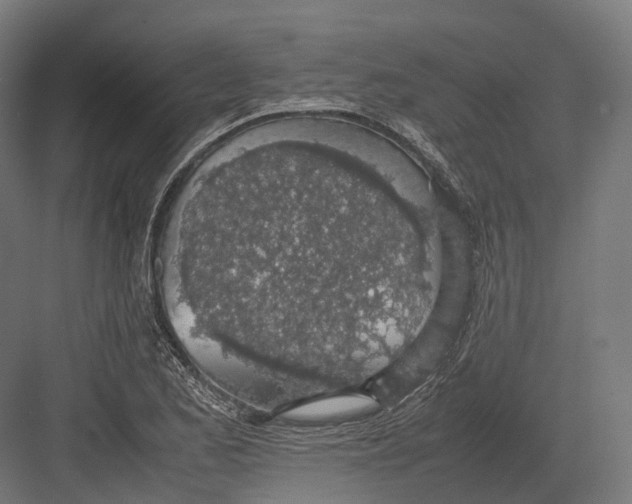 X0000082691173200702161716