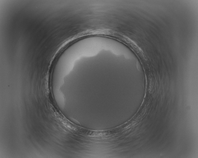 X0000082691174200702161716