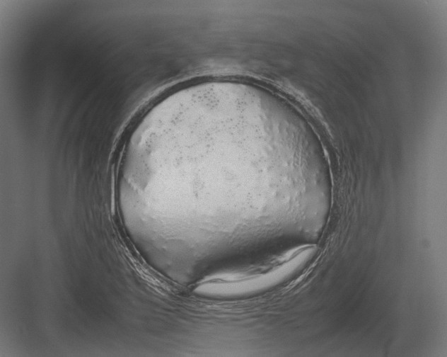 X0000082691175200702161716