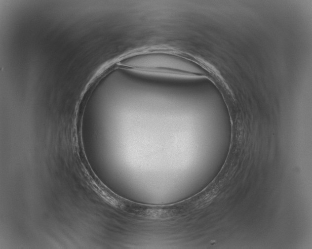 X0000082691176200702161716