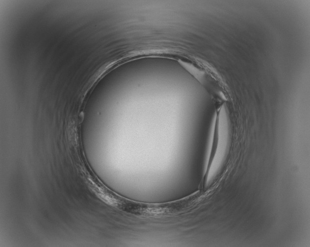 X0000082691177200702161716