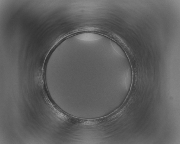 X0000082691178200702161716