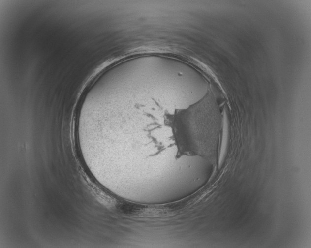 X0000082691179200702161716