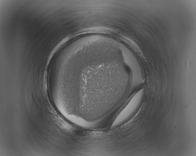 X0000082691180200702161716