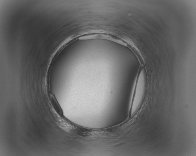 X0000082691181200702161716