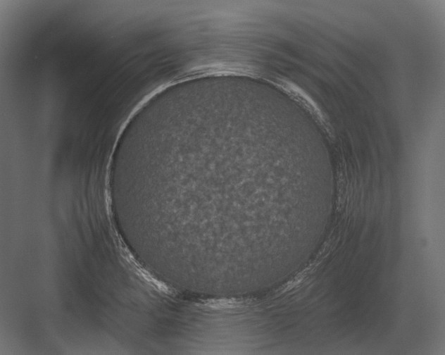 X0000082691182200702161716