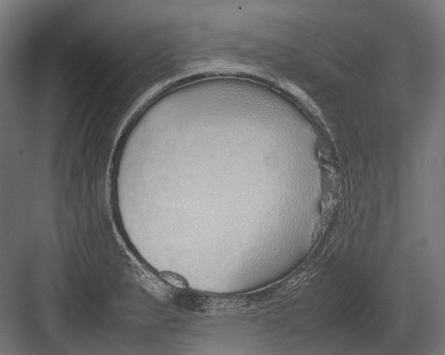 X0000082691183200702161716